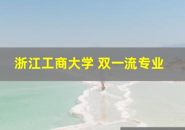 浙江工商大学 双一流专业